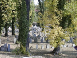 Zdroj: Archiv