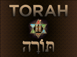 TORAH_TOP
