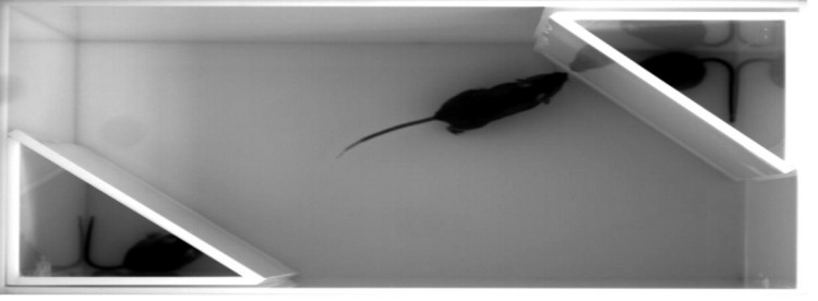 header10