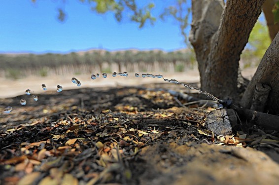 ct-u-of-c-israel-water-scarcity-global-cities-0104-20150102
