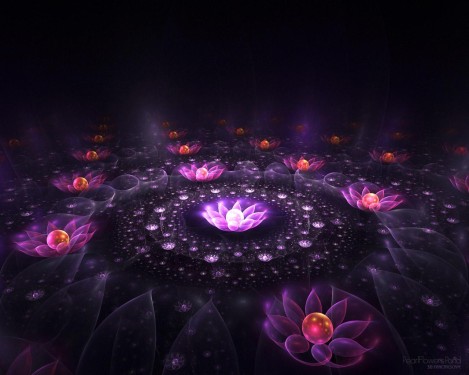 lotus-flower